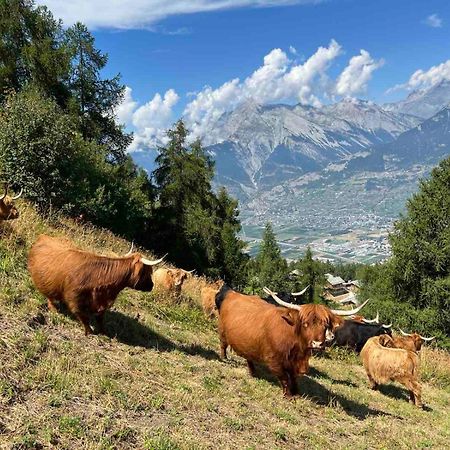 Cosy Studio For 4 Near Ski Lift, Melezes K22 Veysonnaz Luaran gambar