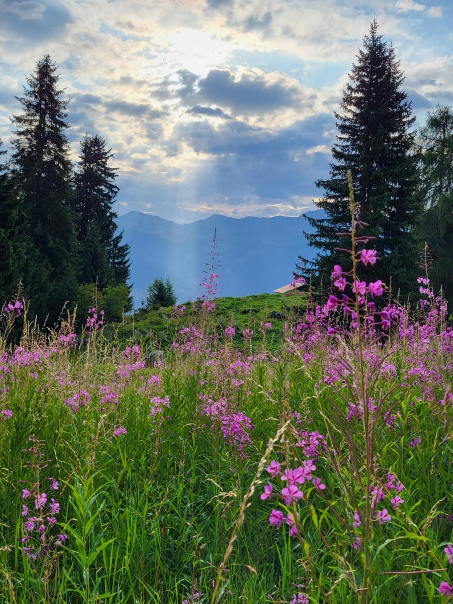 Cosy Studio For 4 Near Ski Lift, Melezes K22 Veysonnaz Luaran gambar